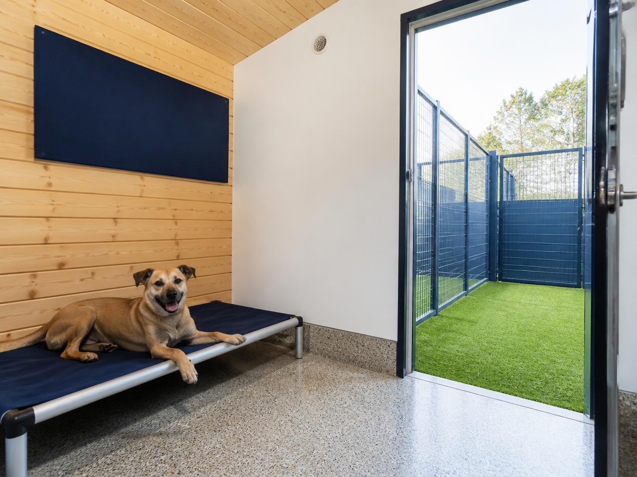 Interno di un box individuale Dogland con zona coibentata e lettino rialzato